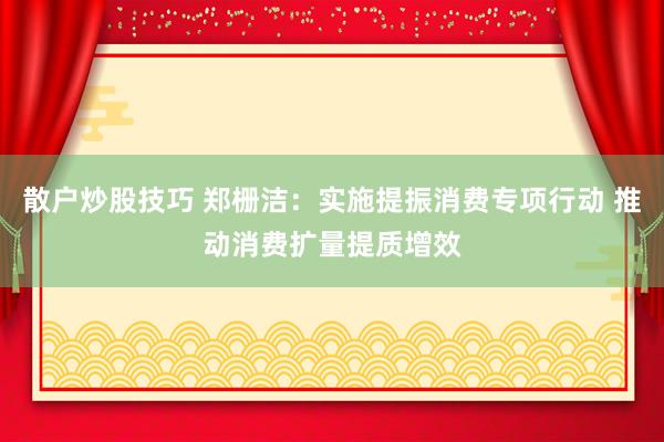 散户炒股技巧 郑栅洁：实施提振消费专项行动 推动消费扩量提质增效