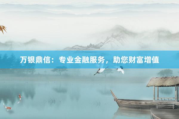 万银鼎信：专业金融服务，助您财富增值