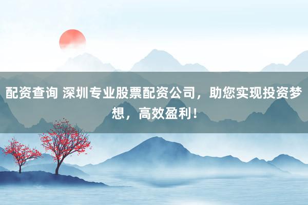 配资查询 深圳专业股票配资公司，助您实现投资梦想，高效盈利！