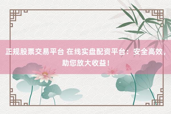 正规股票交易平台 在线实盘配资平台：安全高效，助您放大收益！