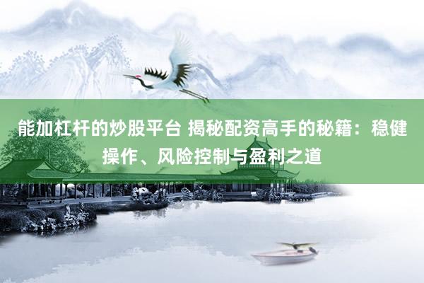 能加杠杆的炒股平台 揭秘配资高手的秘籍：稳健操作、风险控制与盈利之道