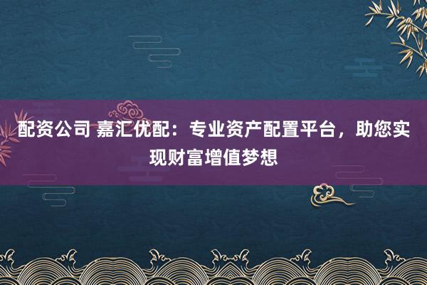 配资公司 嘉汇优配：专业资产配置平台，助您实现财富增值梦想