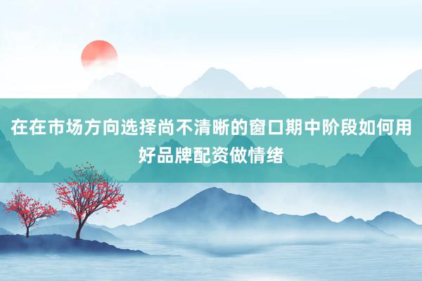 在在市场方向选择尚不清晰的窗口期中阶段如何用好品牌配资做情绪